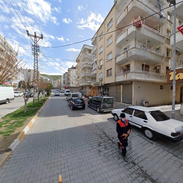Fotoğraf 9