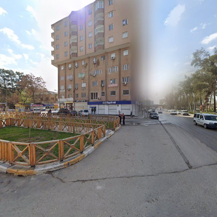 Fotoğraf 10