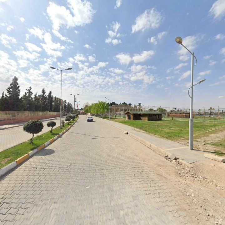 Fotoğraf 10