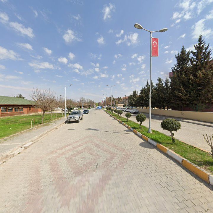 Fotoğraf 8