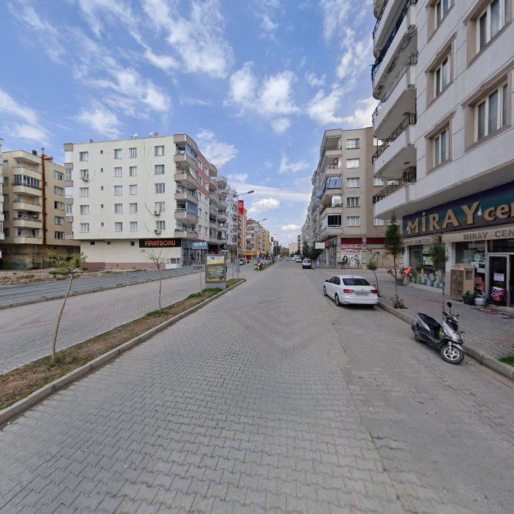 Fotoğraf 8