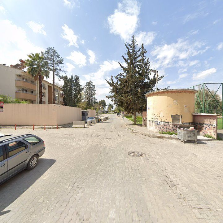 Fotoğraf 6