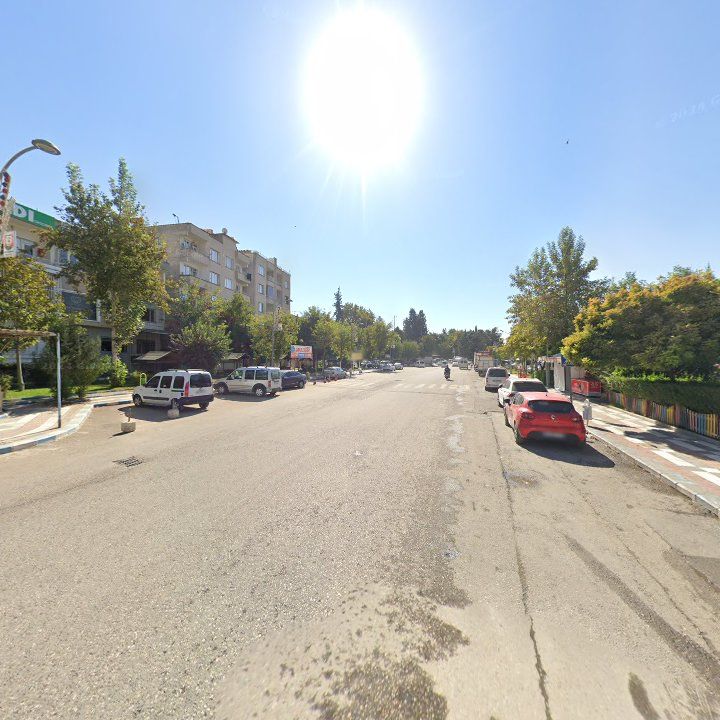 Fotoğraf 14