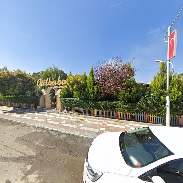 Fotoğraf 11
