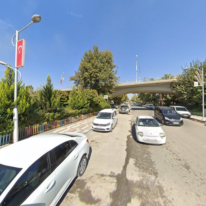 Fotoğraf 12