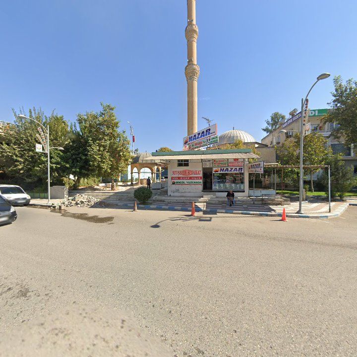Fotoğraf 13