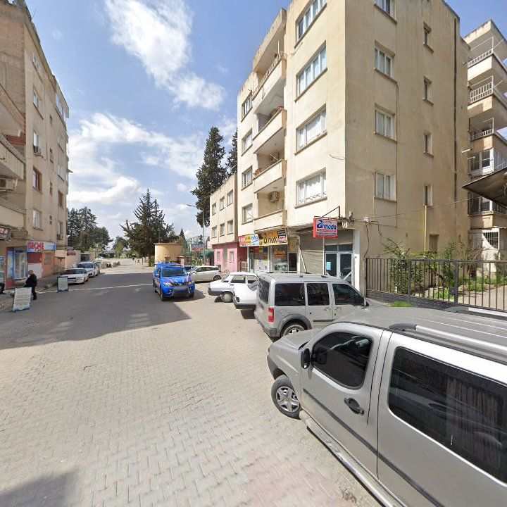Fotoğraf 6