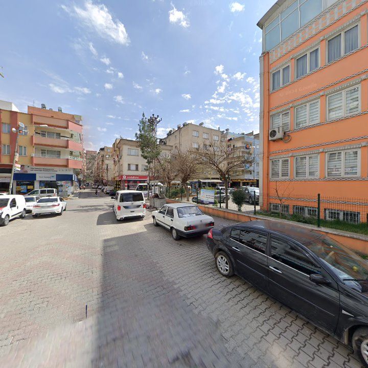Fotoğraf 4