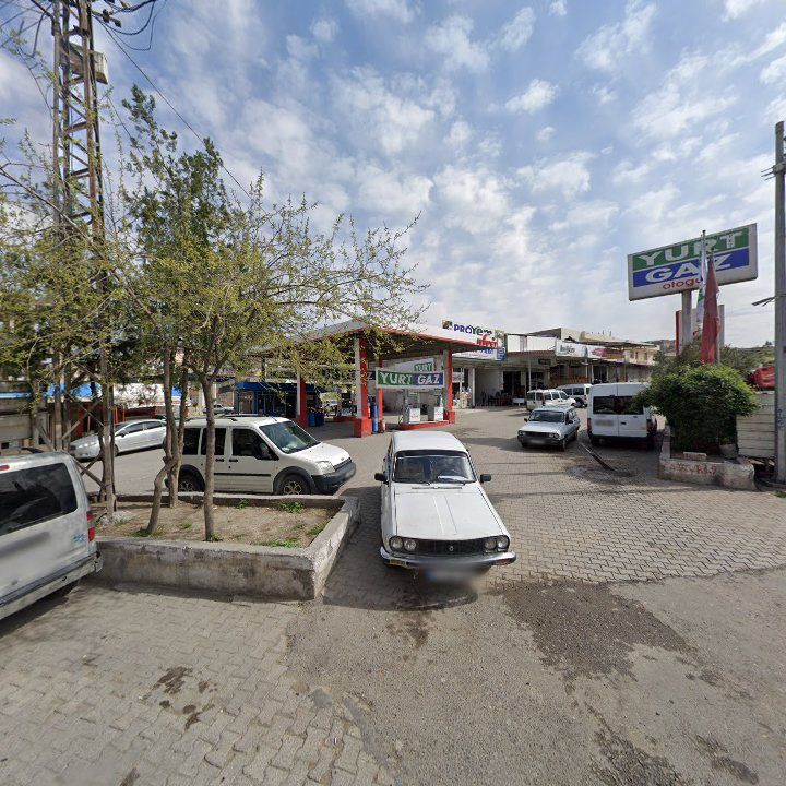 Fotoğraf 9