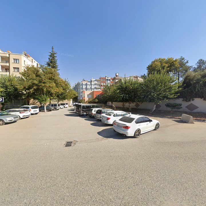 Fotoğraf 8