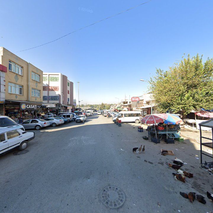 Fotoğraf 9