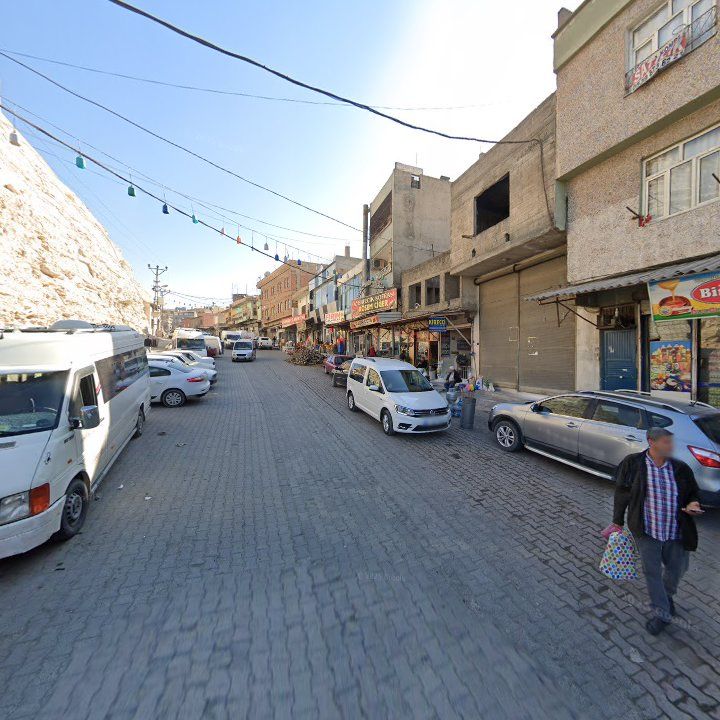 Fotoğraf 11