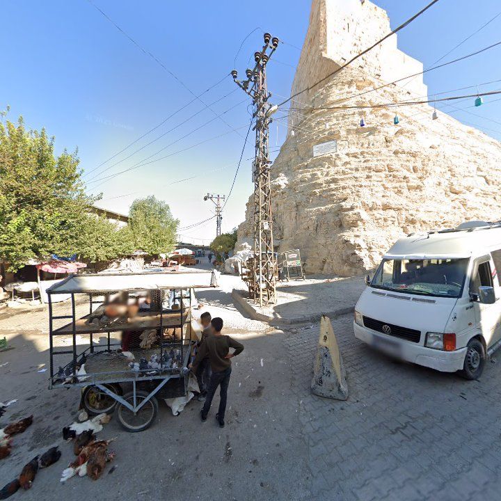 Fotoğraf 10
