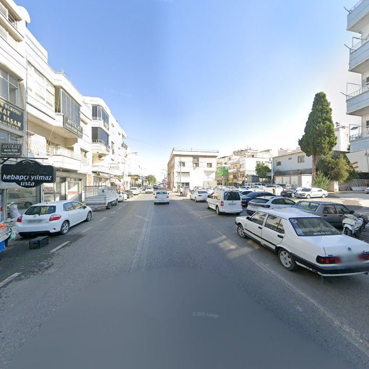 Fotoğraf 8