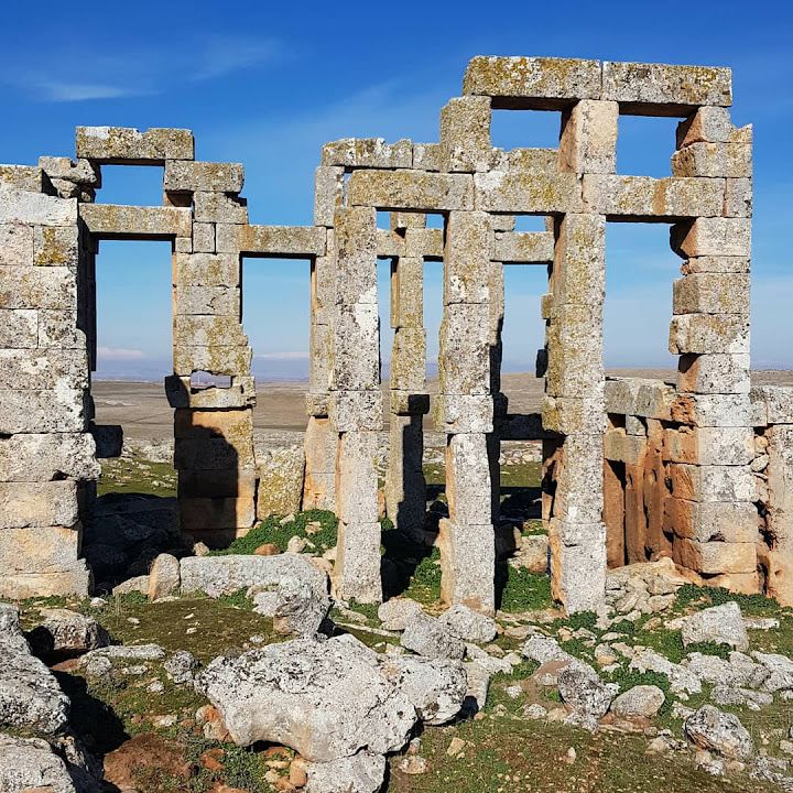 Keloş Harebeler