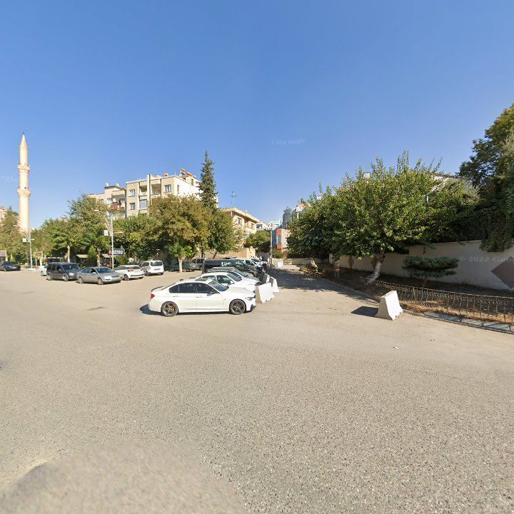 Fotoğraf 8