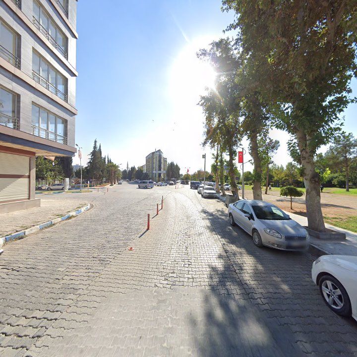 Fotoğraf 7