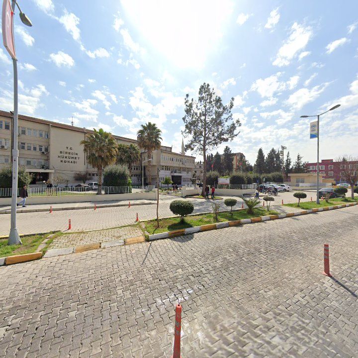 Fotoğraf 8