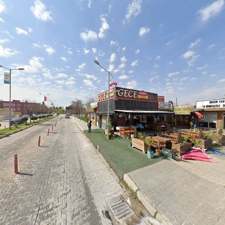 Fotoğraf 9