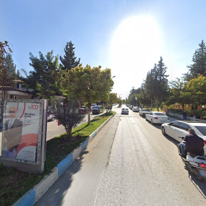 Fotoğraf 7