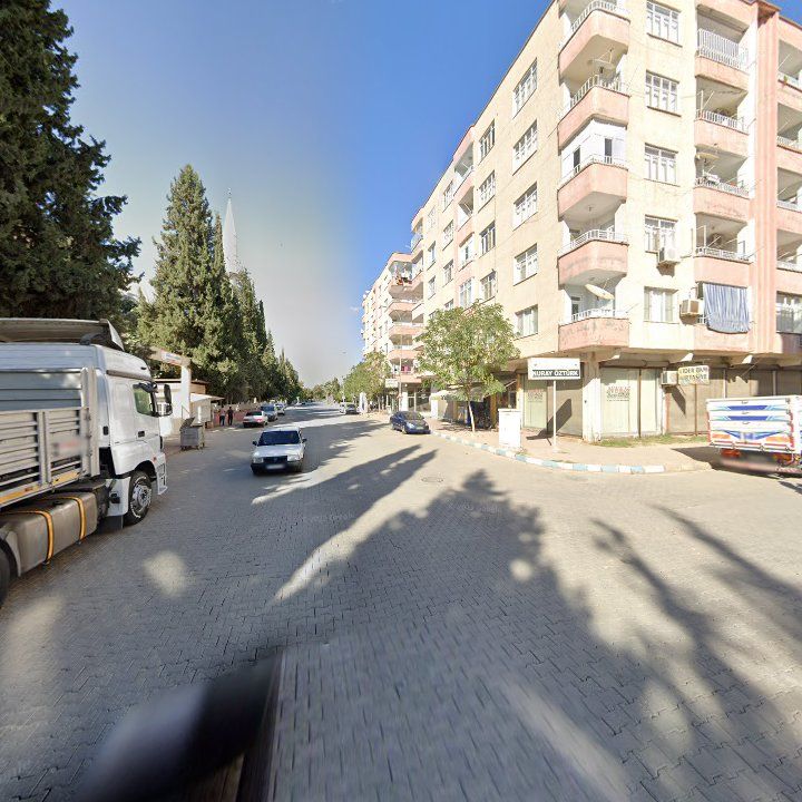Fotoğraf 9
