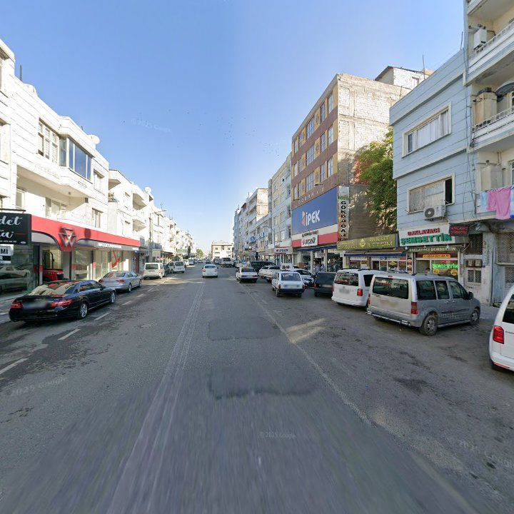 Fotoğraf 7