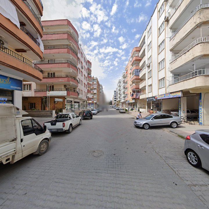 Fotoğraf 9