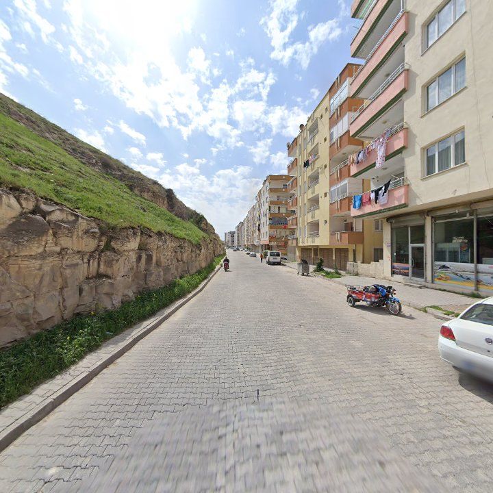 Fotoğraf 7