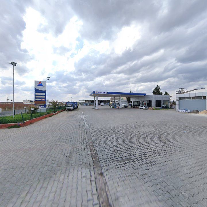 Fotoğraf 8