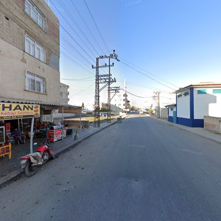 Fotoğraf 10