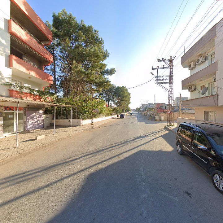 Fotoğraf 12
