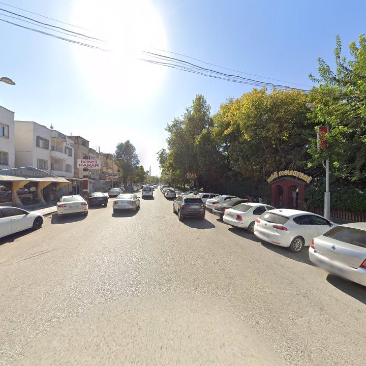 Fotoğraf 11
