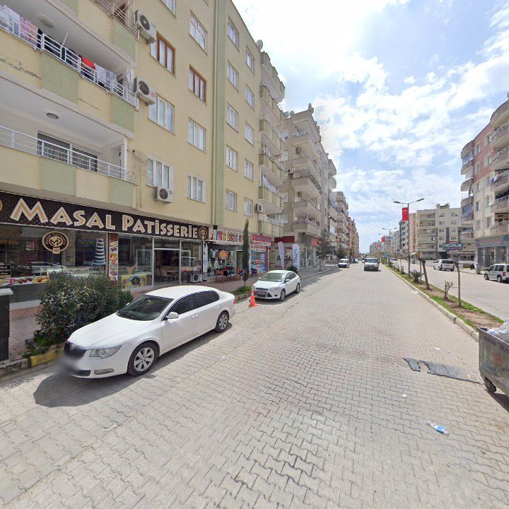Fotoğraf 8