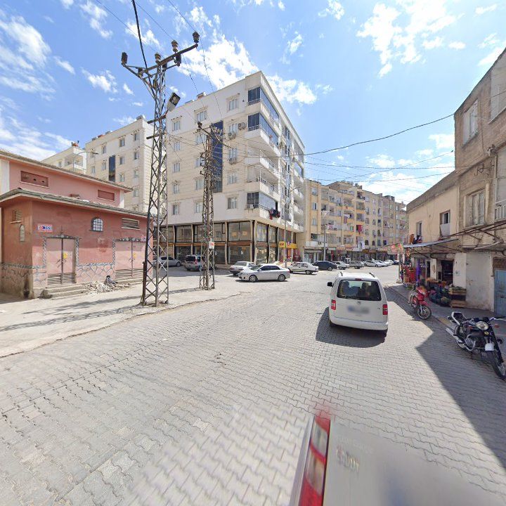 Fotoğraf 7