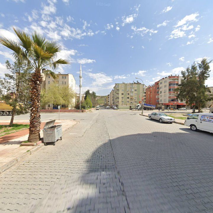 Fotoğraf 7