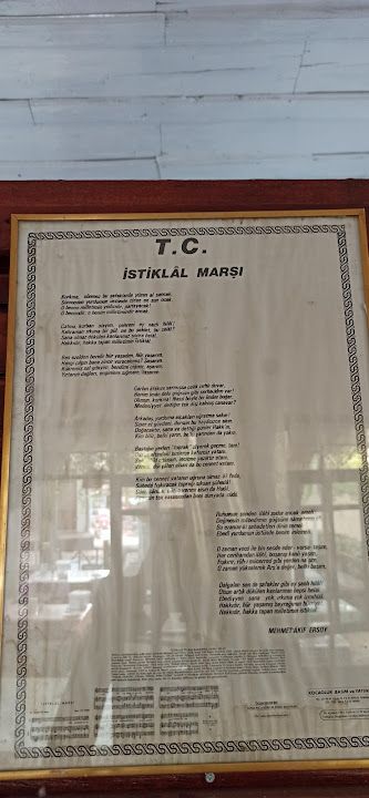Fotoğraf 31