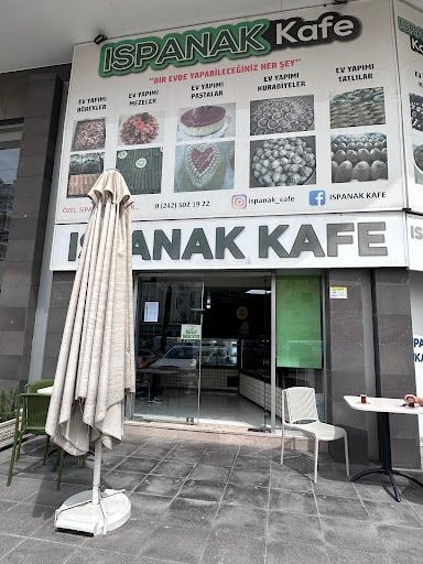 Yorum fotoğrafı 6