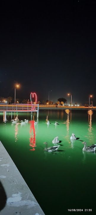 Yorum fotoğrafı 3