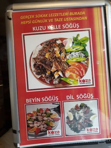 Fotoğraf 17