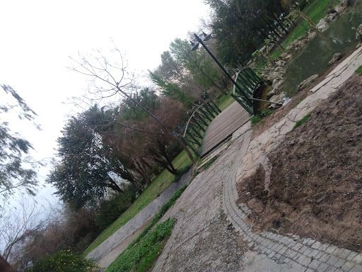 Yorum fotoğrafı 10