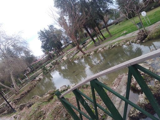 Yorum fotoğrafı 5