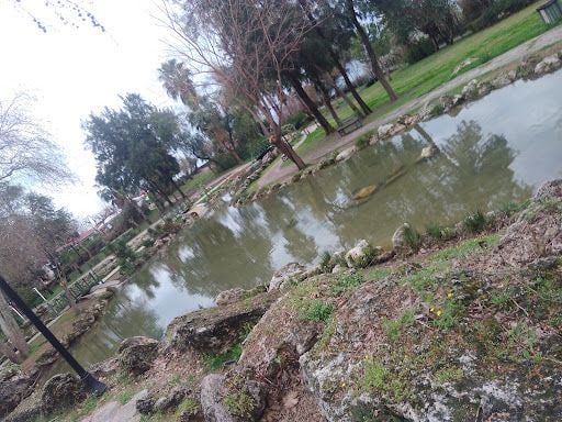 Yorum fotoğrafı 7