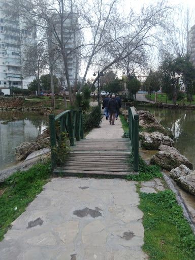 Yorum fotoğrafı 8