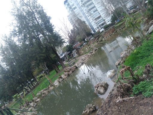 Yorum fotoğrafı 9