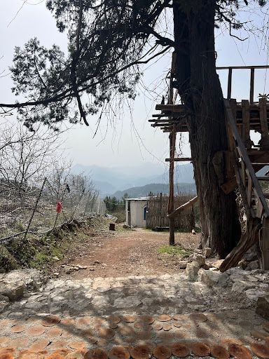 Yorum fotoğrafı 5