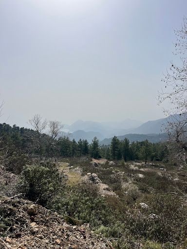 Yorum fotoğrafı 8