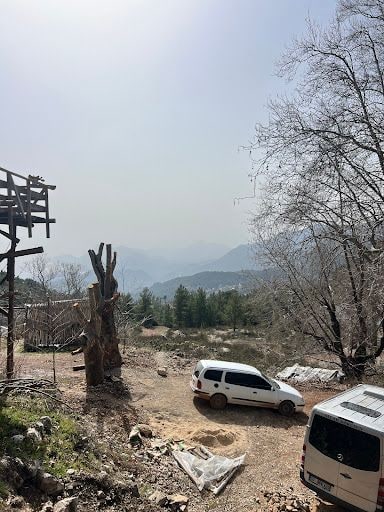Yorum fotoğrafı 9