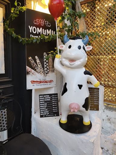 Yorum fotoğrafı 6