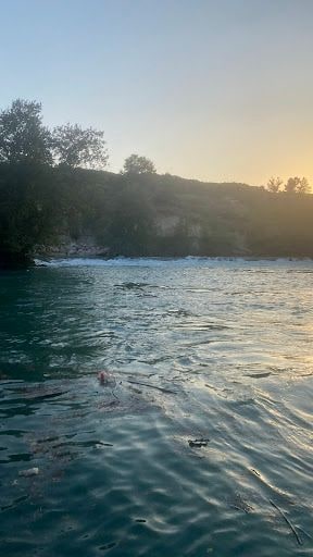 Yorum fotoğrafı 8