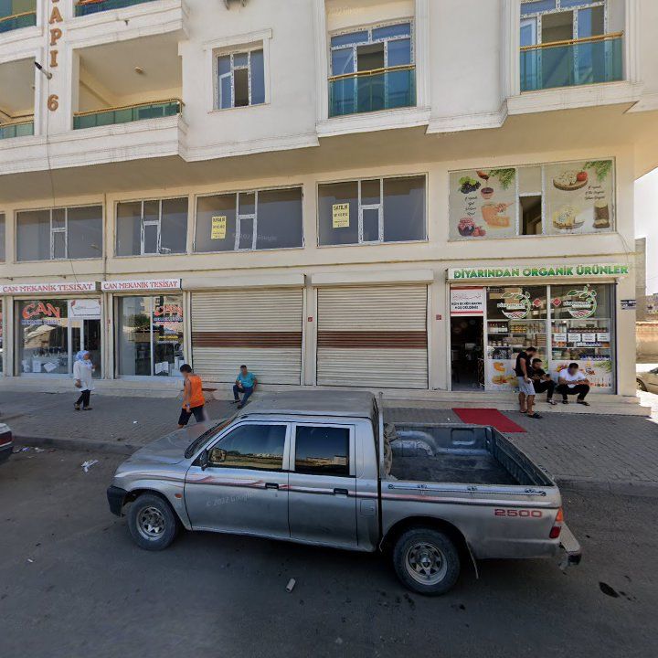 Fotoğraf 3